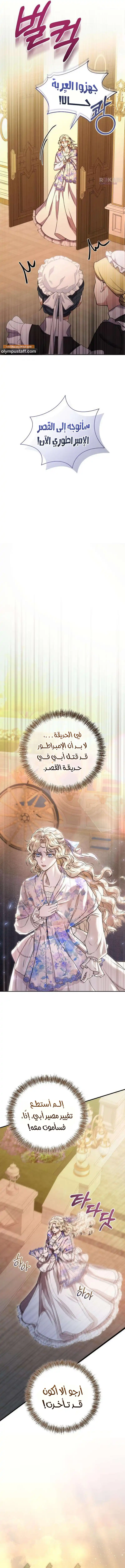 صفحة 17