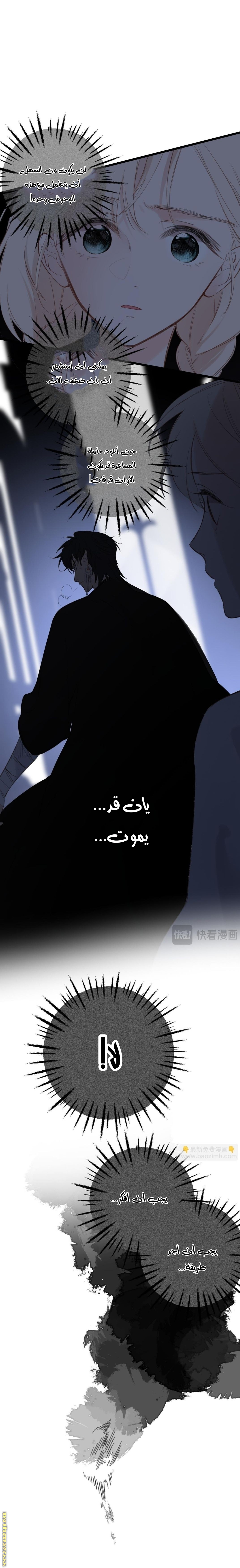 صفحة 6