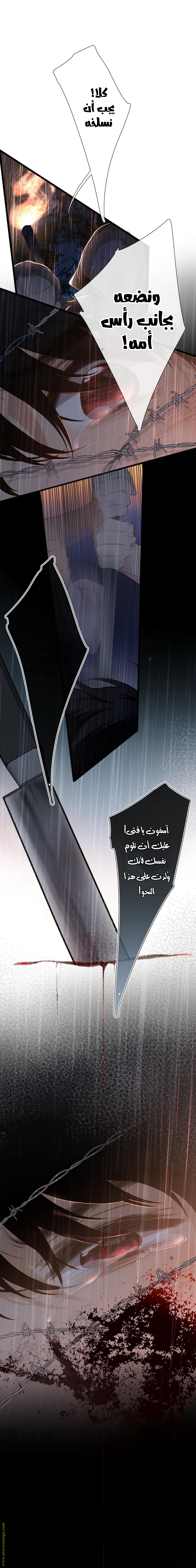 صفحة 11