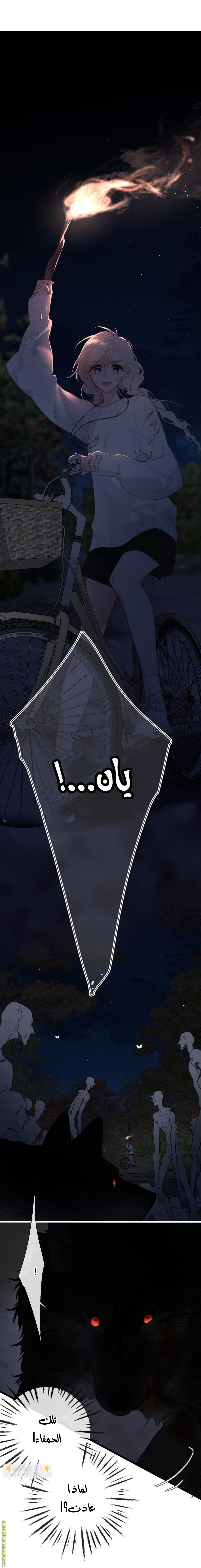 صفحة 2