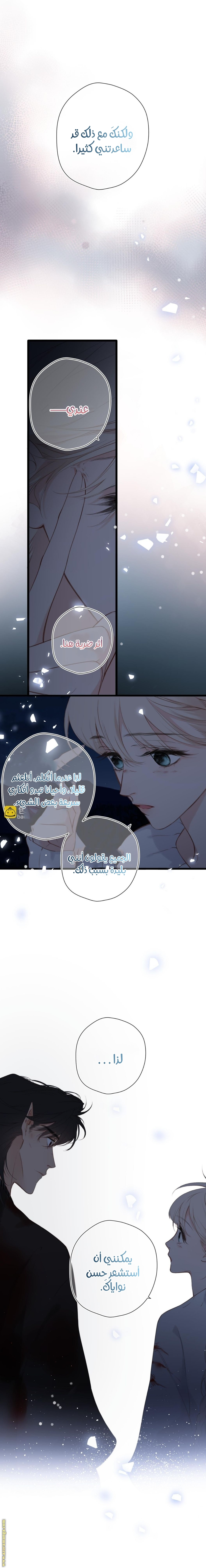 صفحة 5