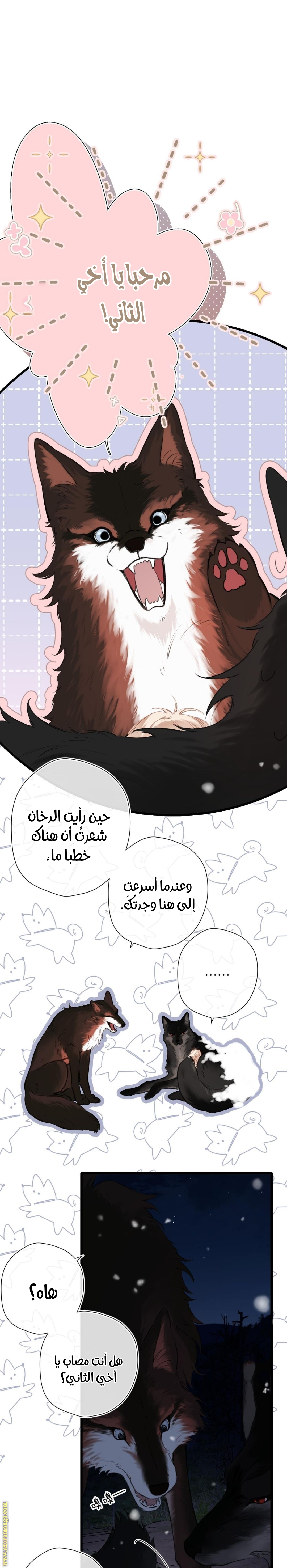 صفحة 5