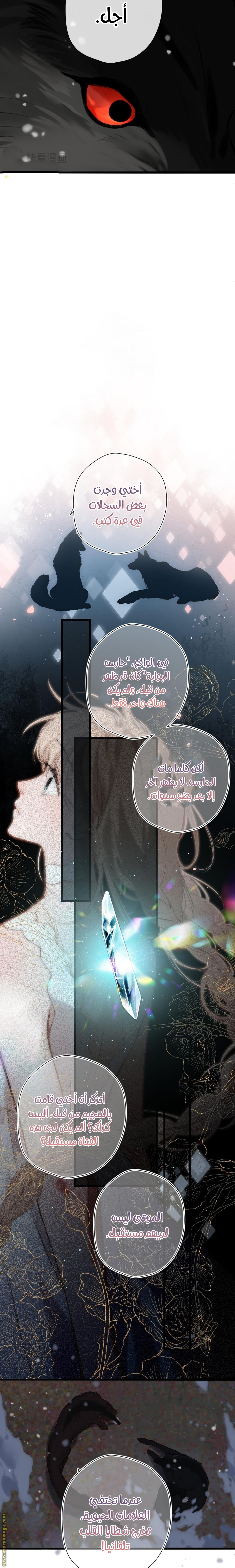 صفحة 7