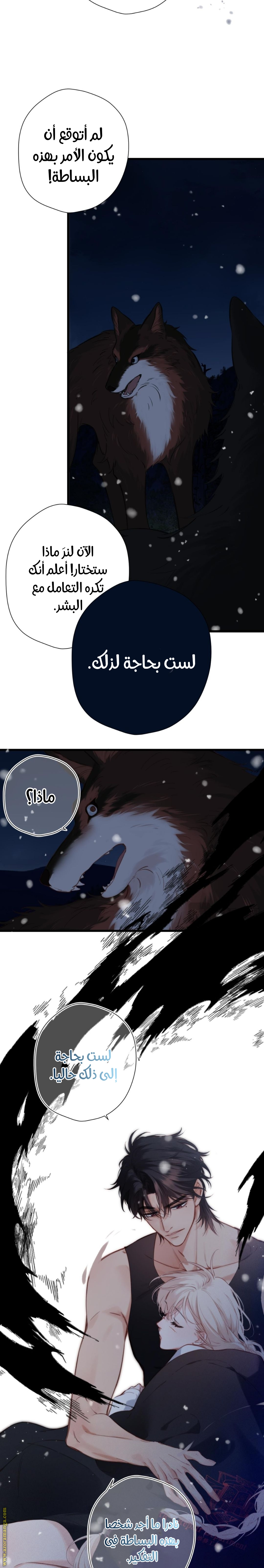 صفحة 8