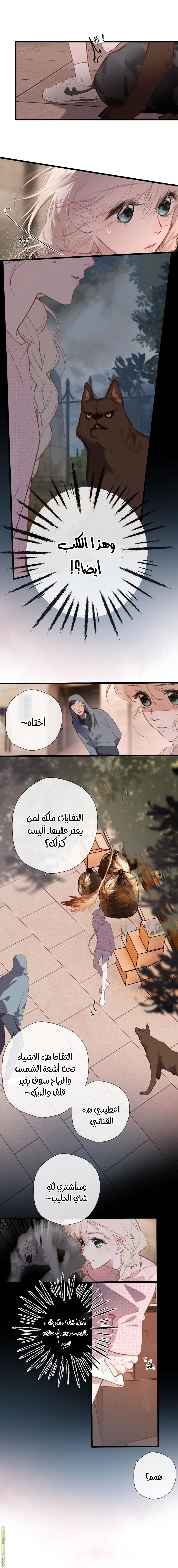 صفحة 6