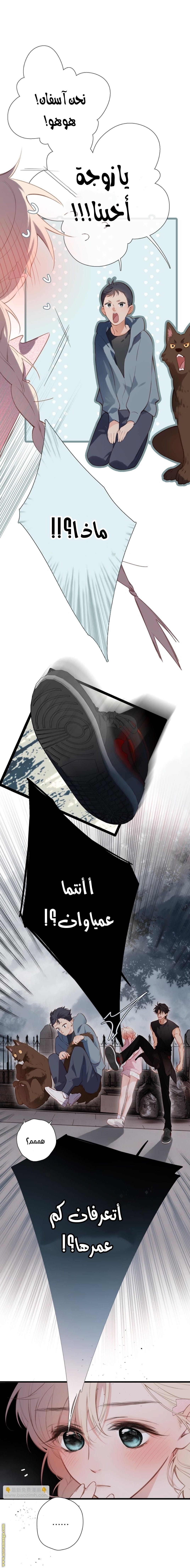 صفحة 5