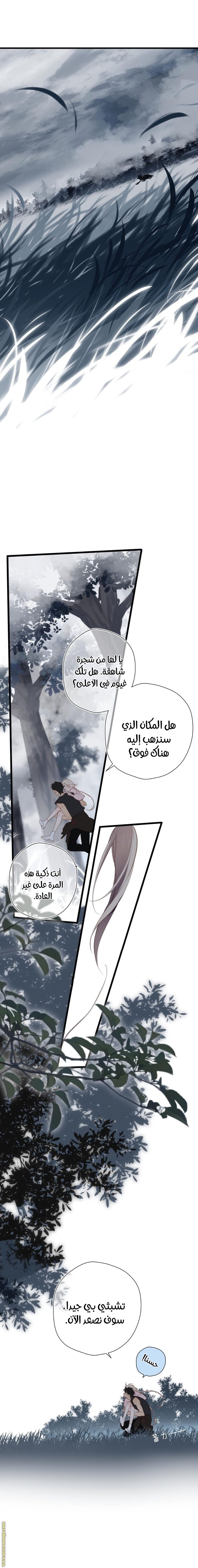 صفحة 14