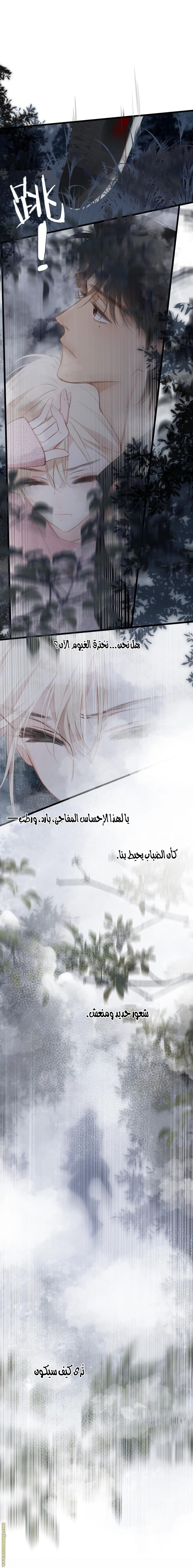 صفحة 15