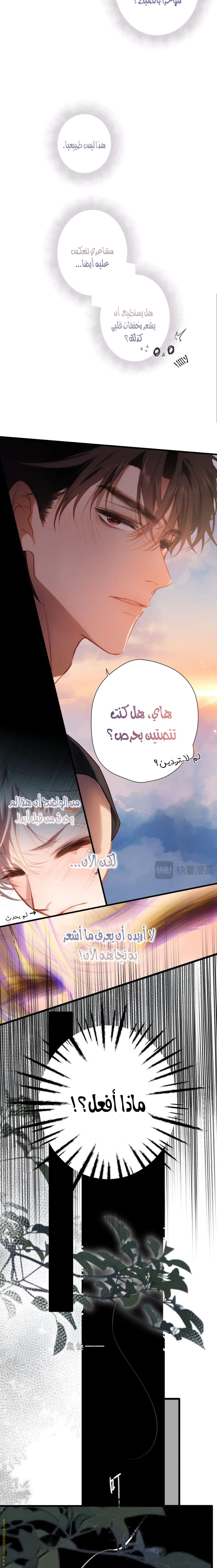 صفحة 11