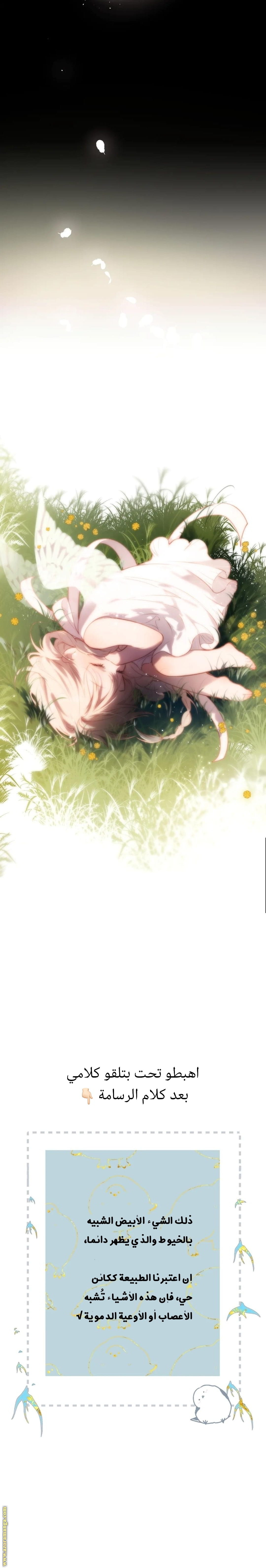 صفحة 17
