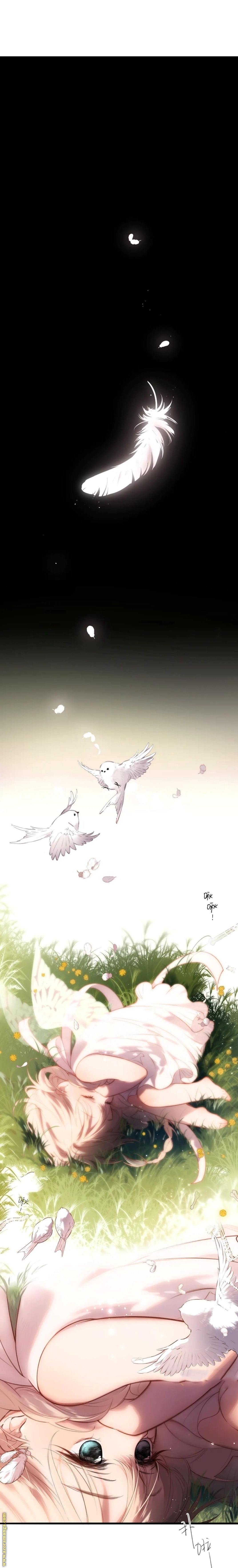 صفحة 6
