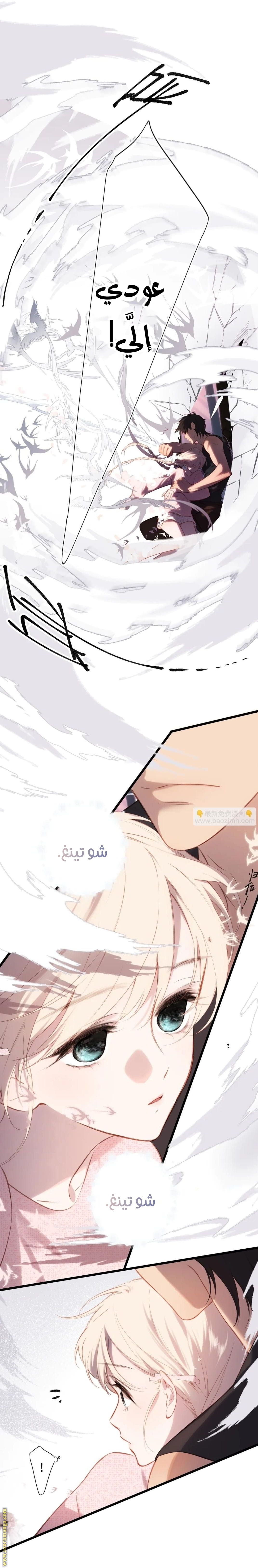 صفحة 17