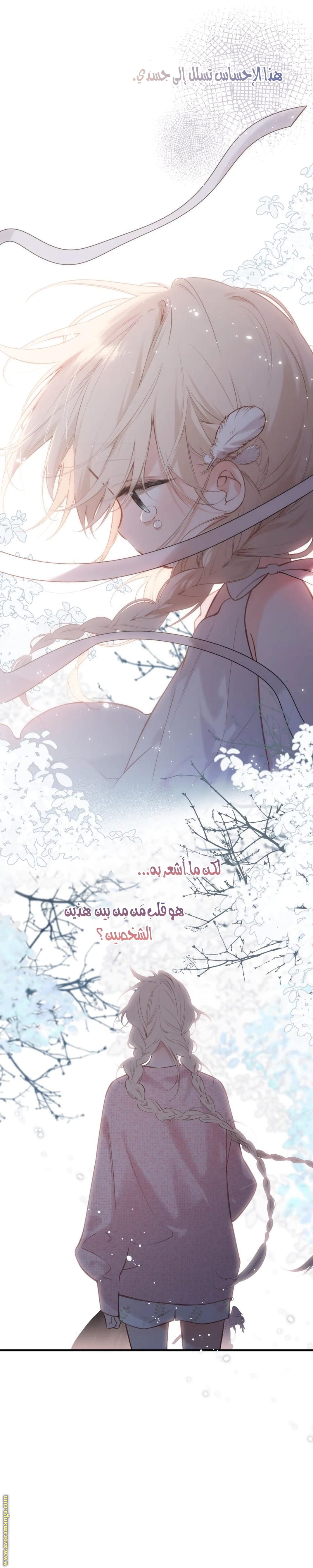 صفحة 7