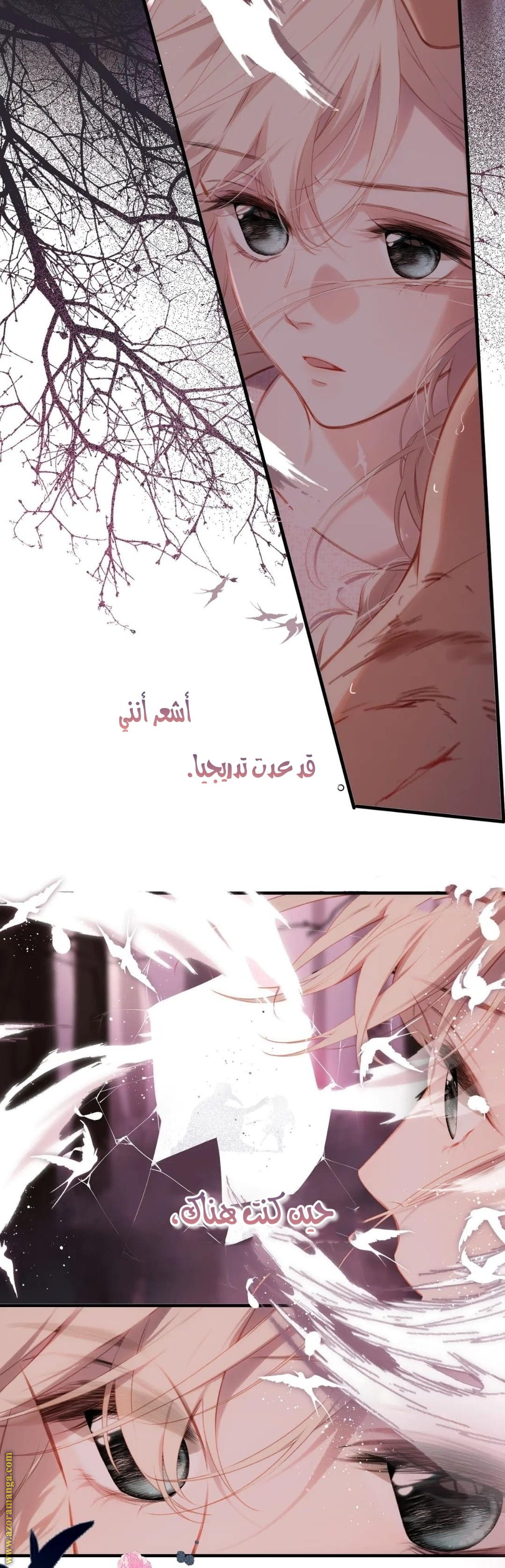 صفحة 8