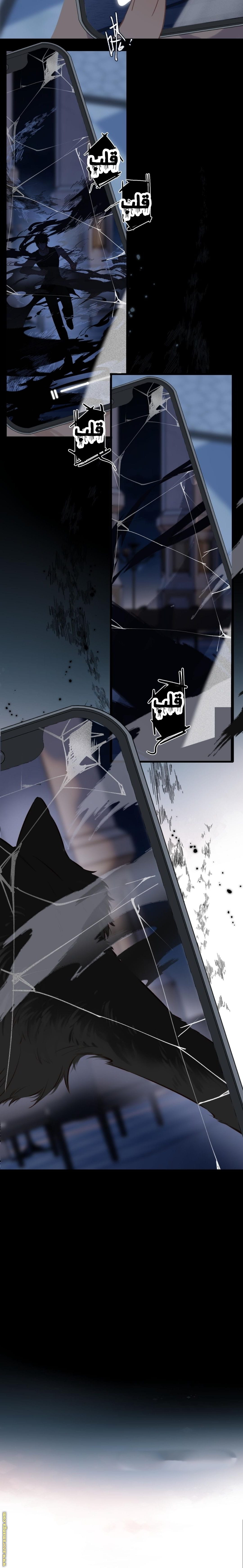 صفحة 14