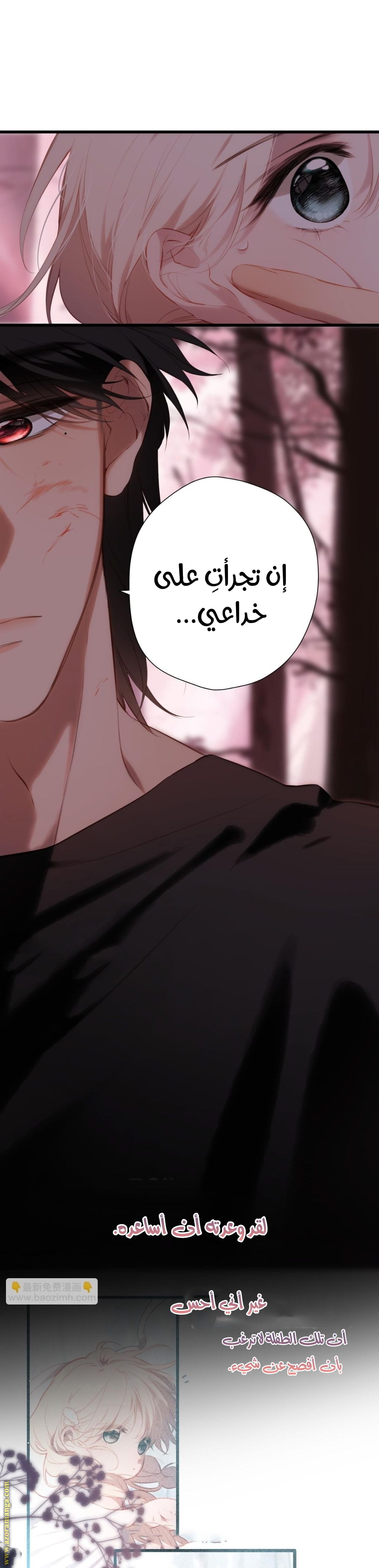صفحة 5