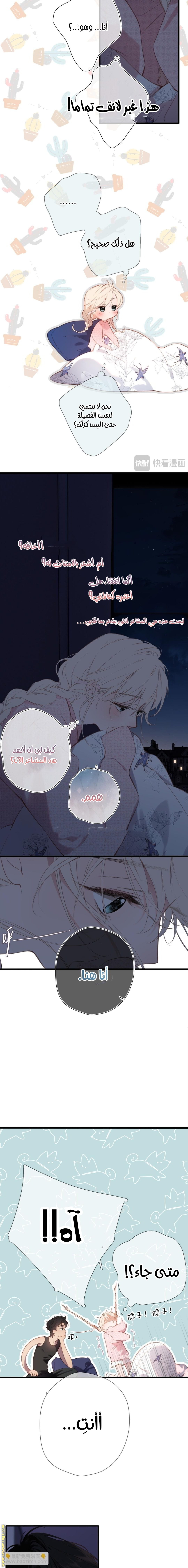 صفحة 8