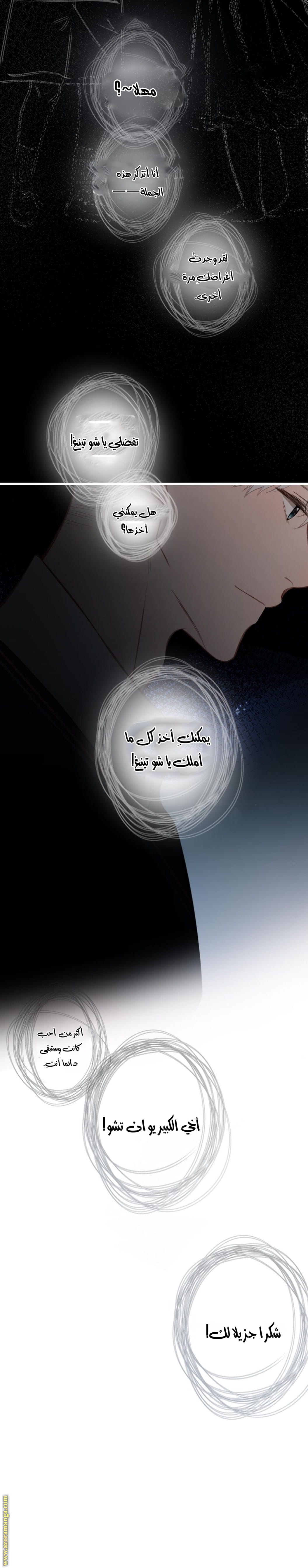 صفحة 13
