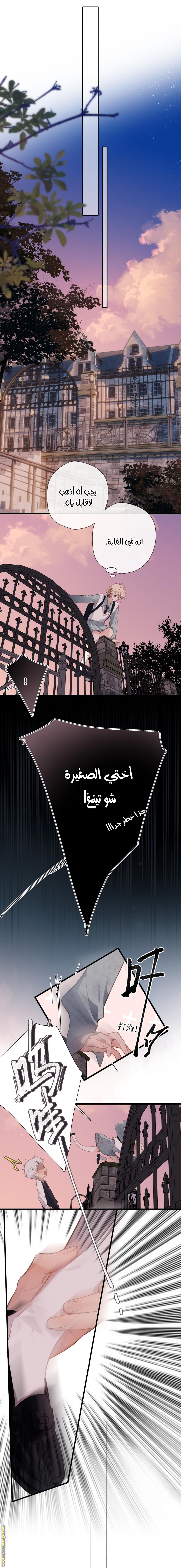 صفحة 10