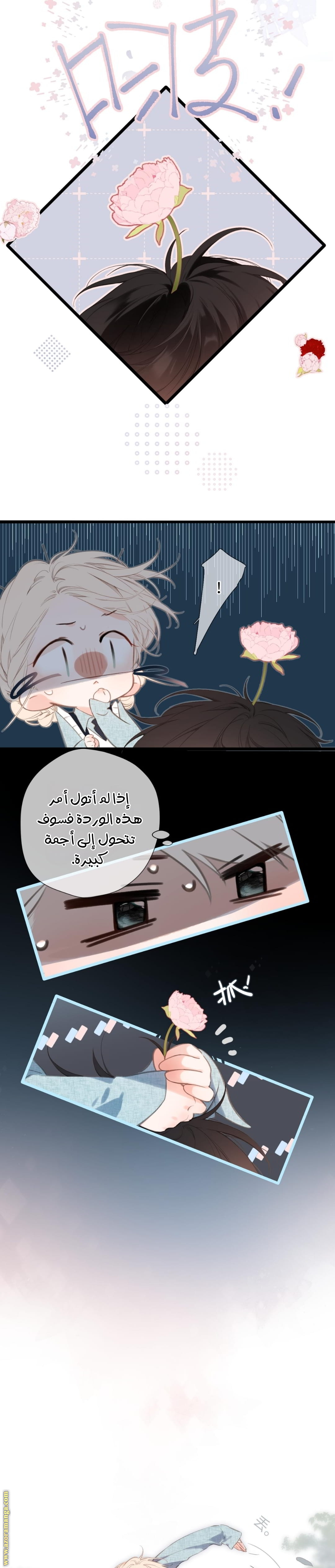 صفحة 7