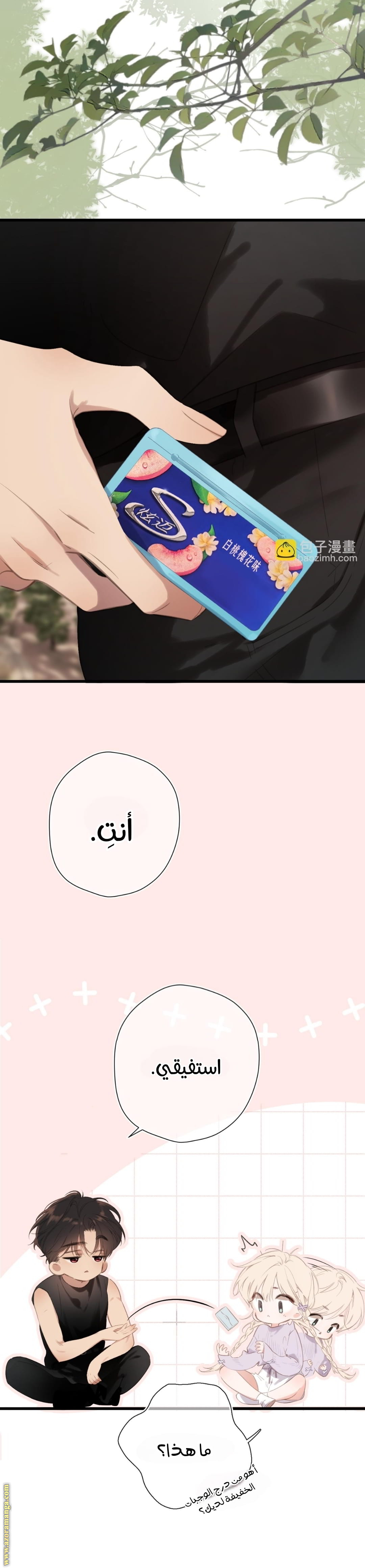 صفحة 22