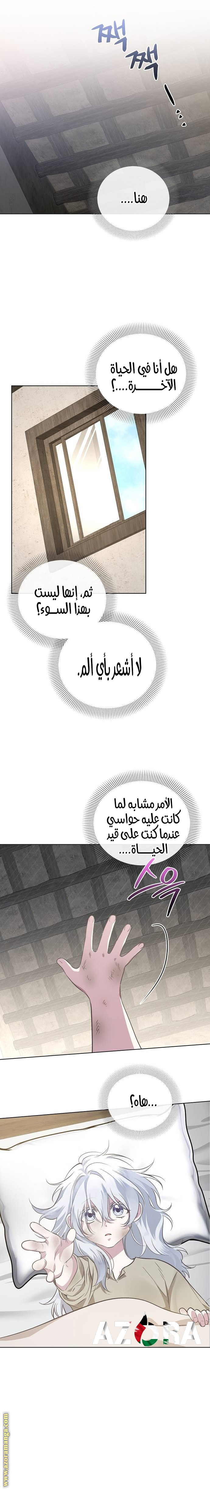 صفحة 14