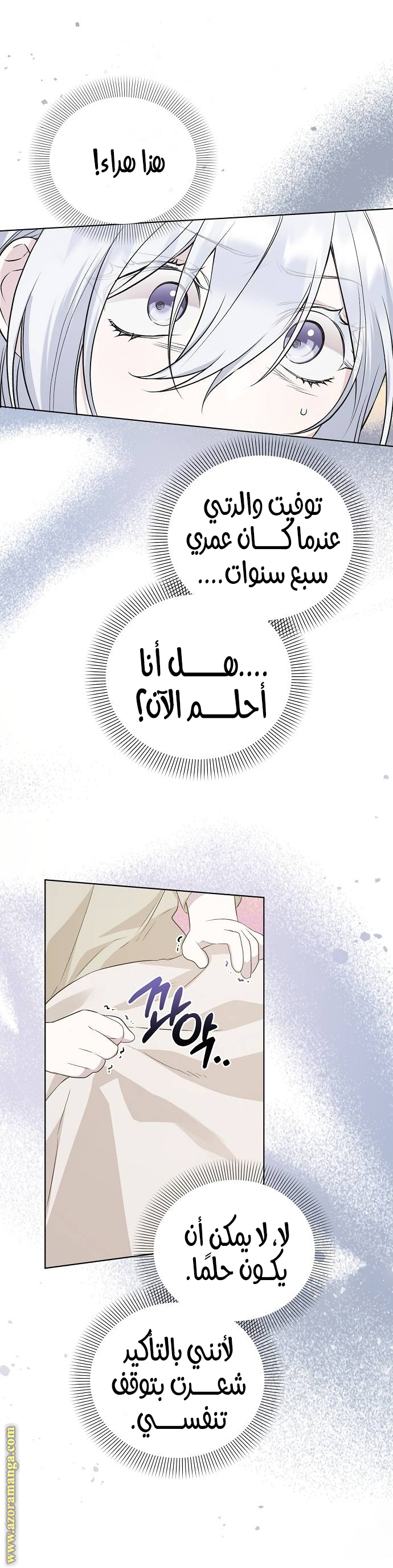 صفحة 17