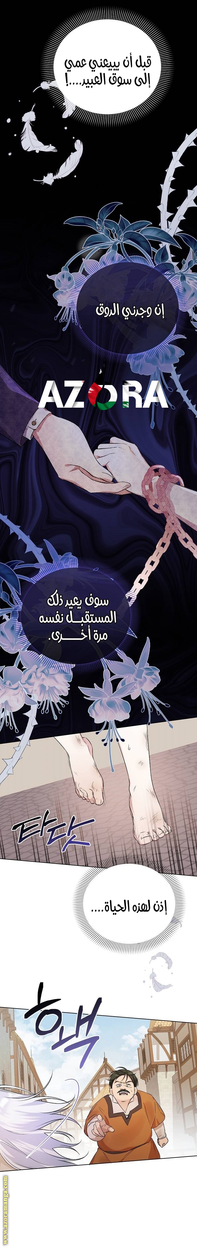 صفحة 19