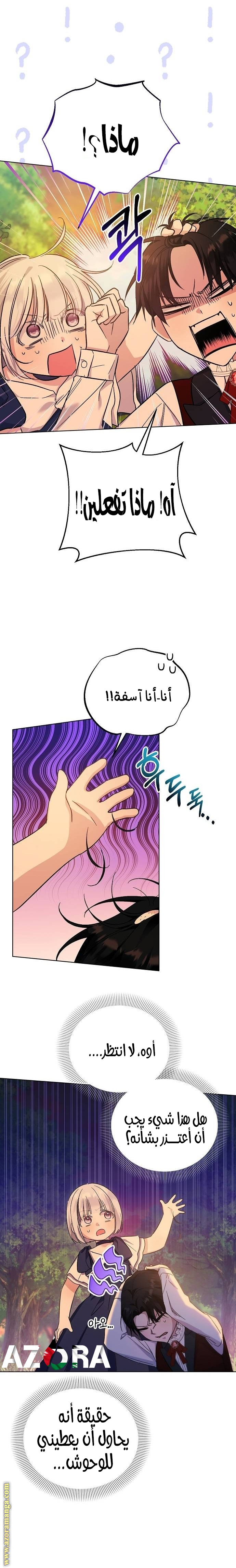 صفحة 13