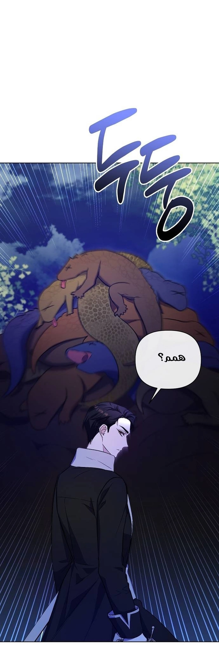 صفحة 24