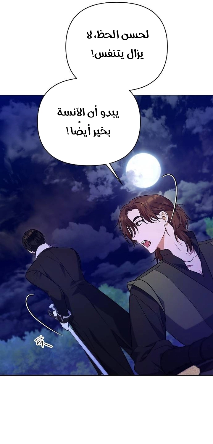 صفحة 41