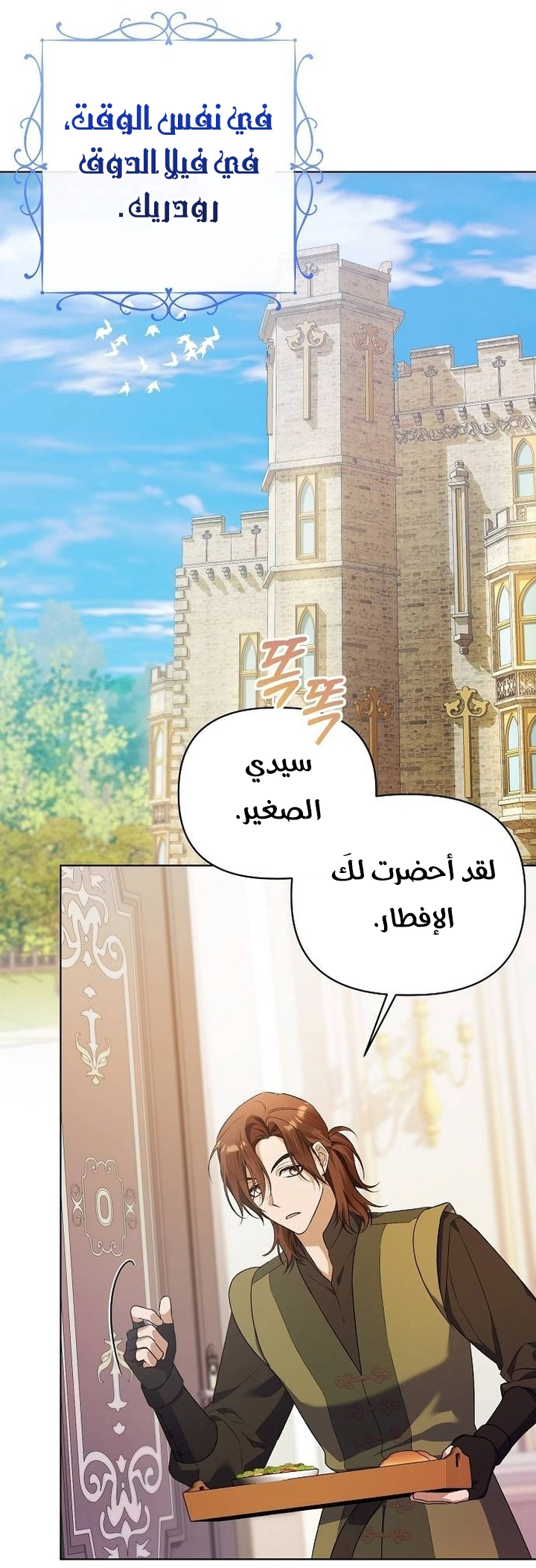 صفحة 17