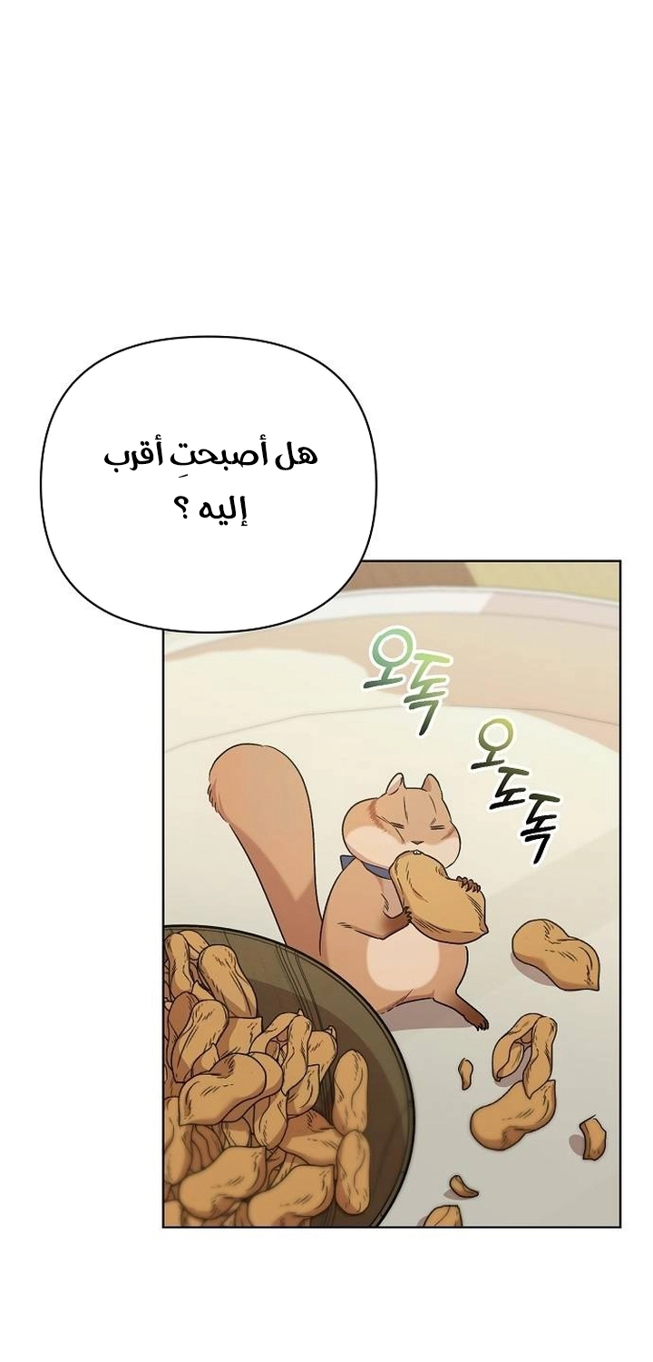 صفحة 14