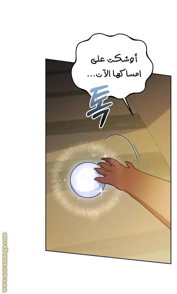 صفحة 46