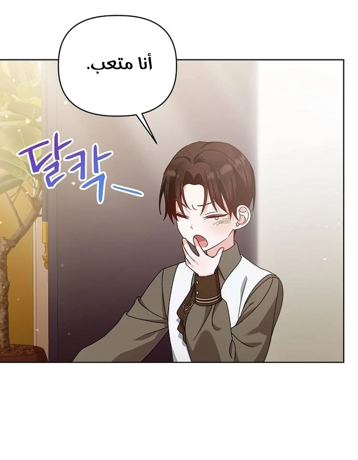 صفحة 17