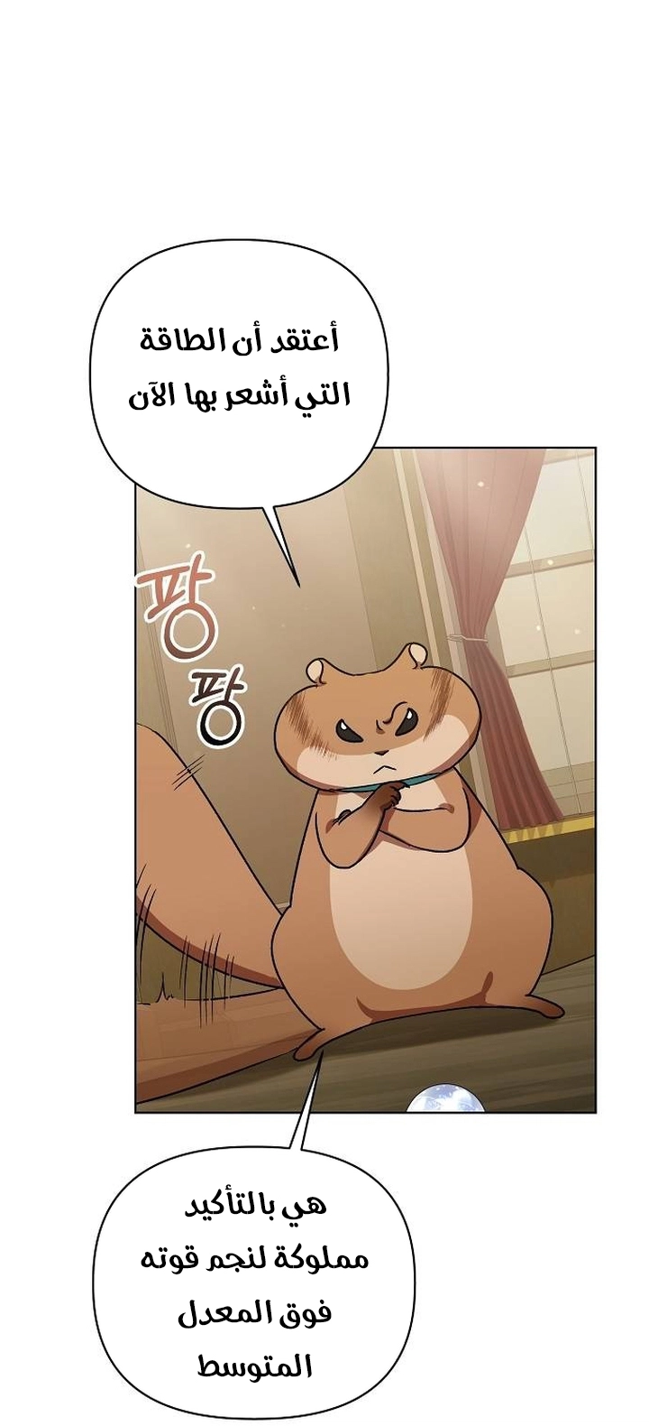 صفحة 5