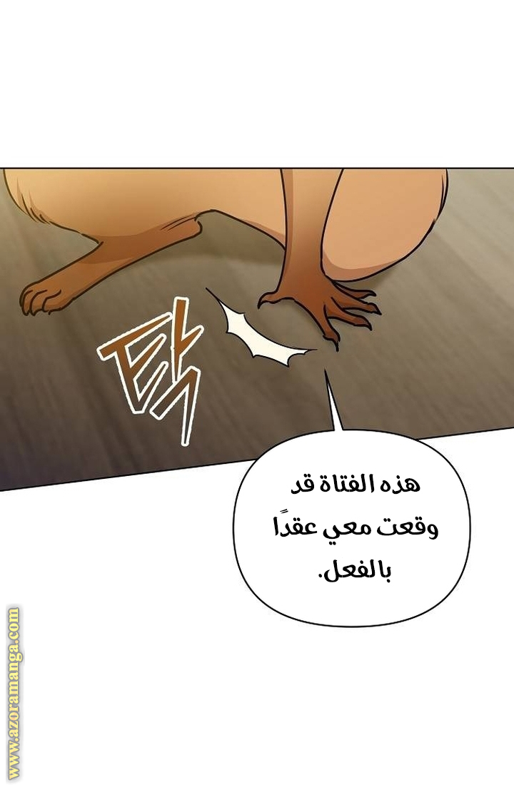 صفحة 11