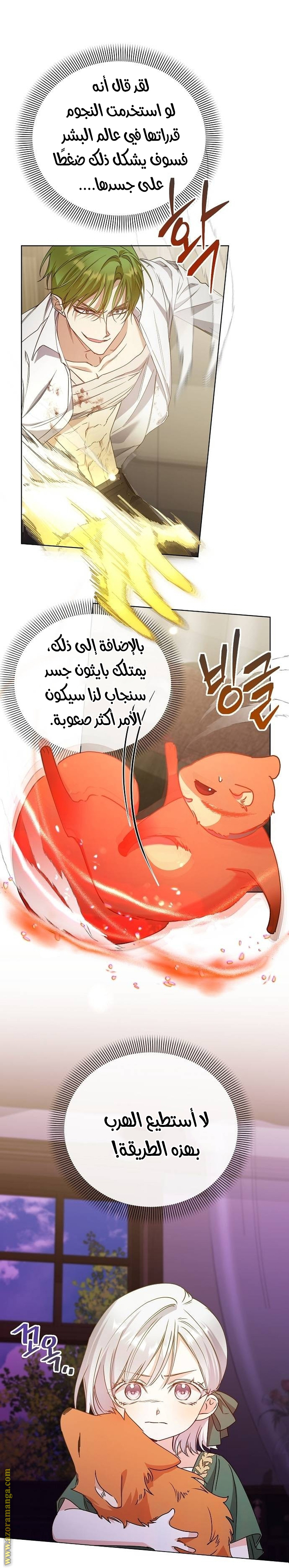 صفحة 22