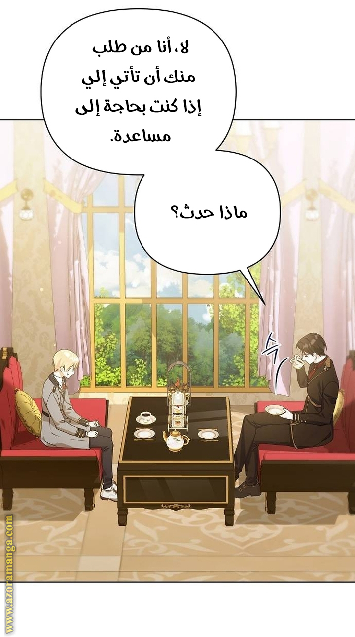 صفحة 17