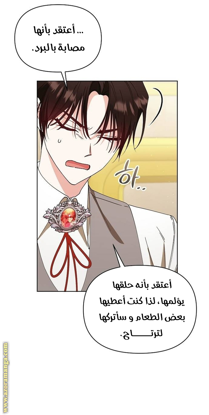 صفحة 42