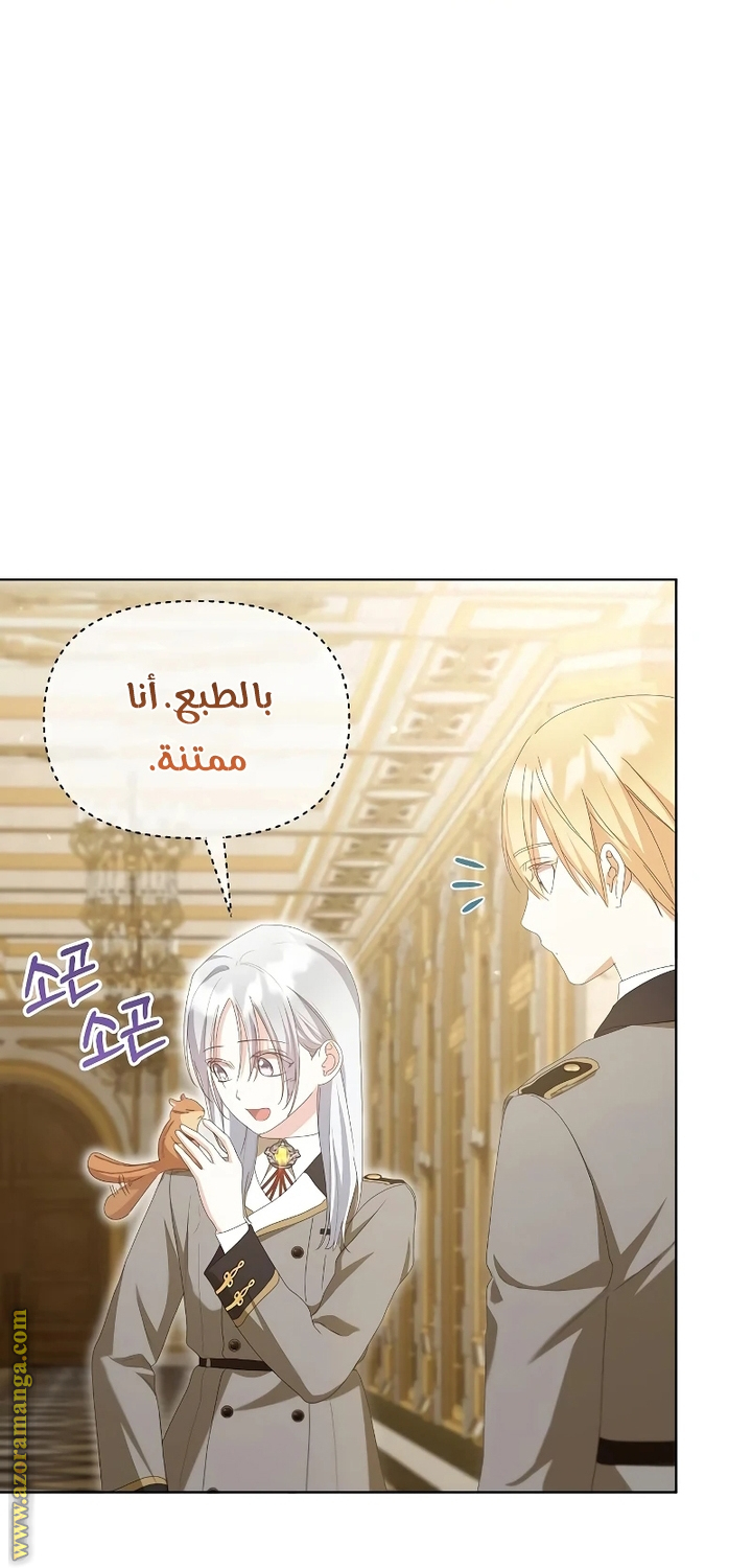 صفحة 11