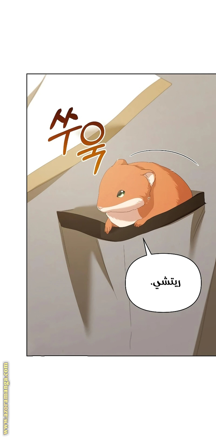 صفحة 14