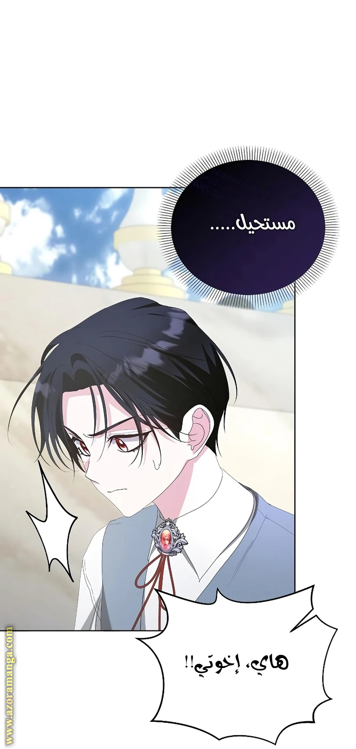 صفحة 42