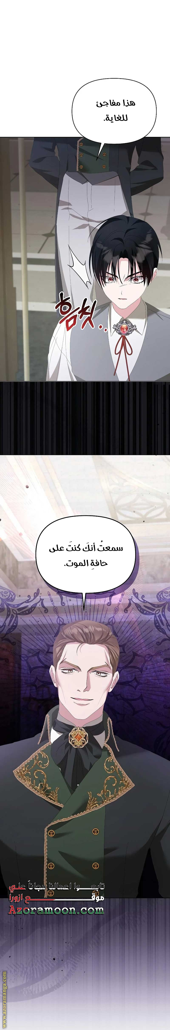 صفحة 17