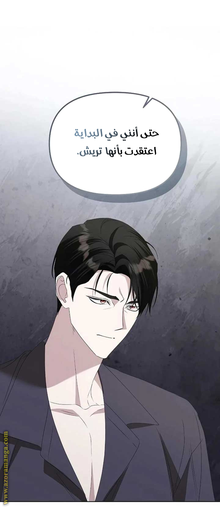 صفحة 31