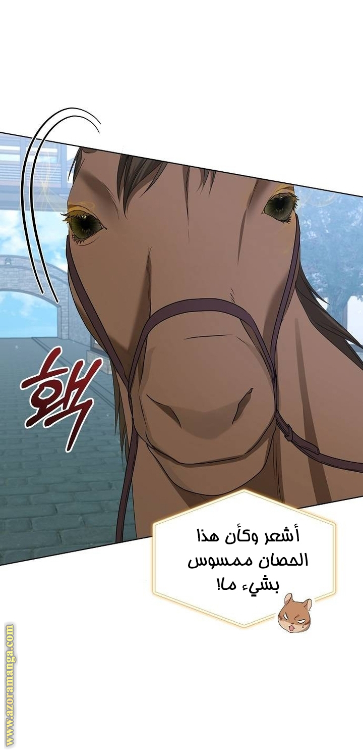 صفحة 21