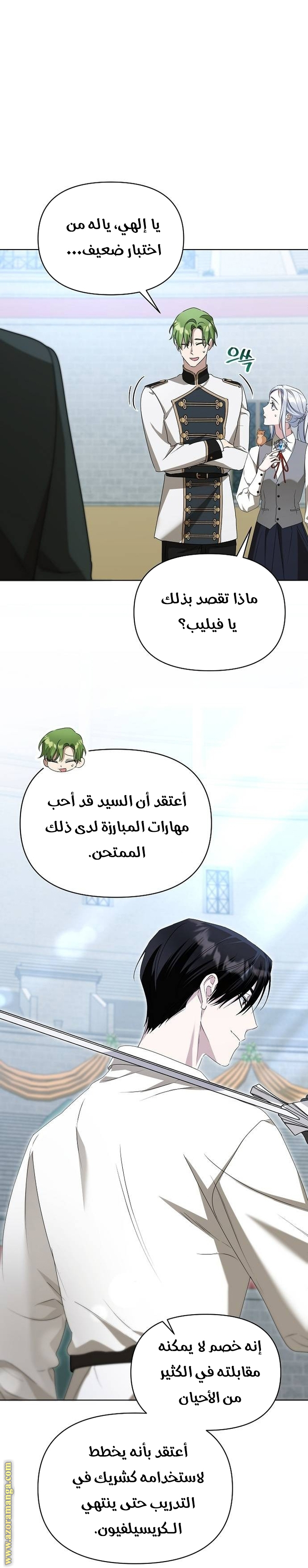صفحة 17
