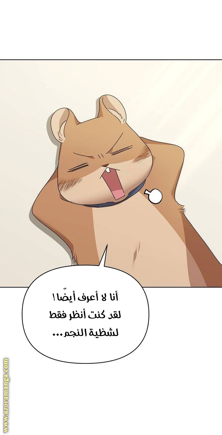 صفحة 20