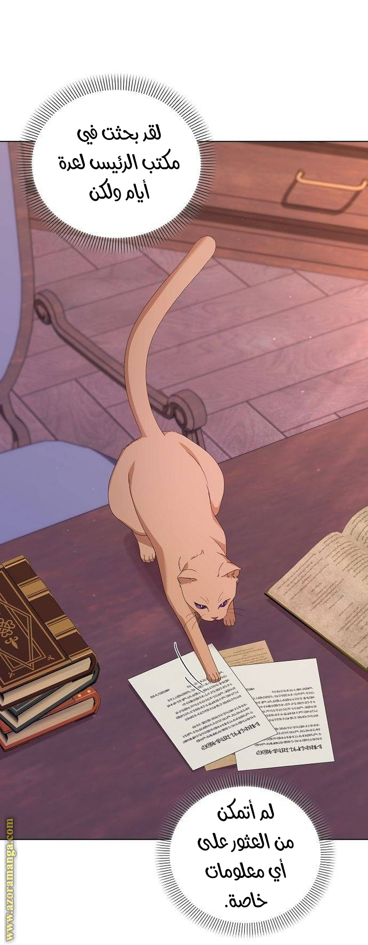صفحة 11