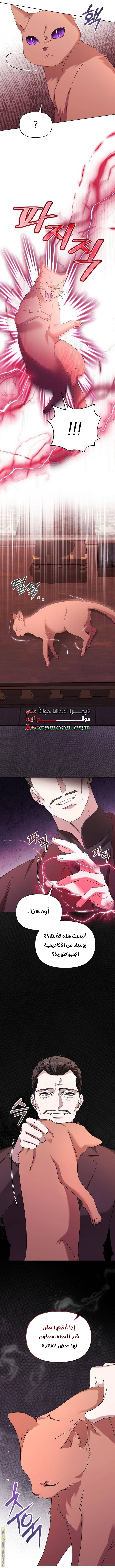 صفحة 14